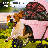 3-In-1 Pet Stroller With Detachable Carrier, Foldable Pet Dog Cat Jogger Stroller With Padded Handle