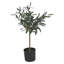 Anssi Pot Planter