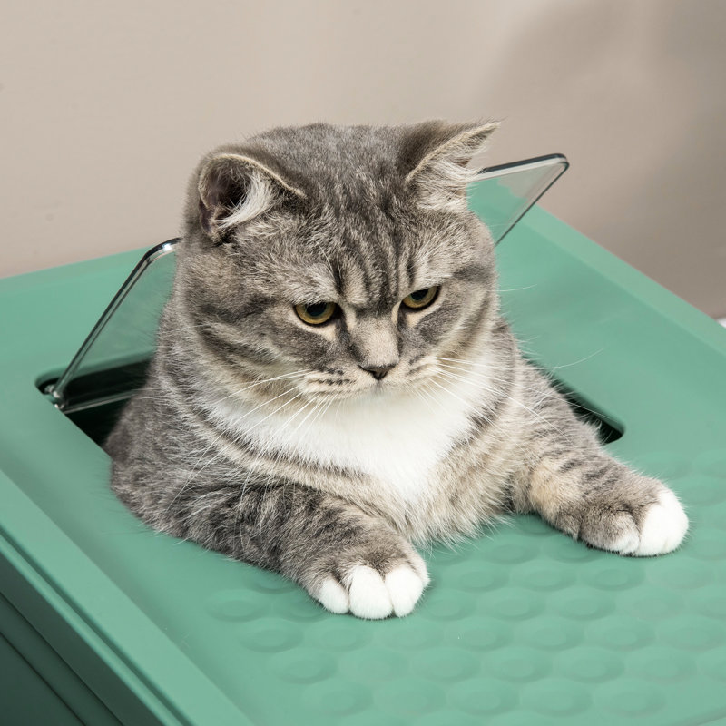 Bac à litière pour chat avec sortie supérieure -, spacieux, compartiment pour minimiser les odeurs, porte double