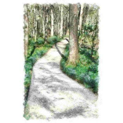 Aquarelle à travers les arbres 2