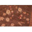 Tapis rouge / jaune / brun en laine noué à la main à motif floral 6 pi 3 po x 8 pi 9 po Kellyanna