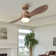 Jaclyn 42'' Ceiling Fan with LED Lights