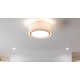 3 Light Semi Flush Mount