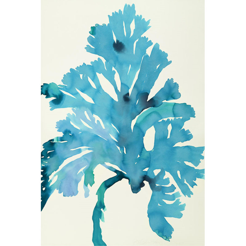 Plants III Print by Hable Construction, 45" H x 30" W, Glass Coat