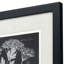 Mono Botanicals II S/2 Print by Libby Langdon Paragon