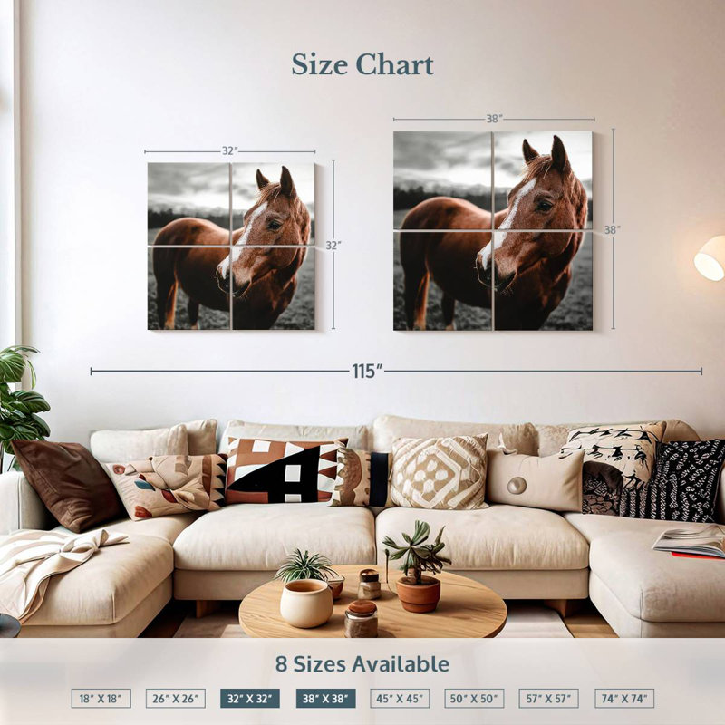 Brampt Shining Horse