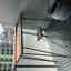 Photos des clients 1 de 1