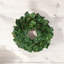 24" Holiday Magnolia Wreath with Two UV Rated Boxwood Drop-Ins