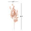 Vaporisateur 36,5 po Smilax-81831137