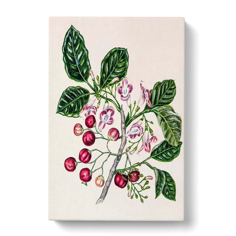 Puriri Vitex Lucens Flowers by Sarah Featon - Wrapped Canvas Print, 50cm H x 35cm W x 3cm D