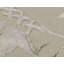Wool Floral Area Rug
