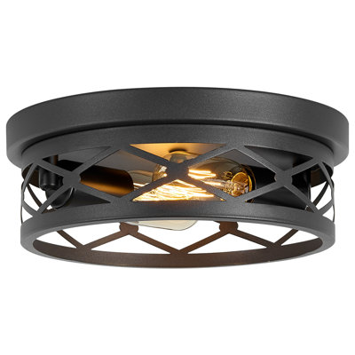 2 Pack 2-Light Industrial Flush Mount Ceiling Light