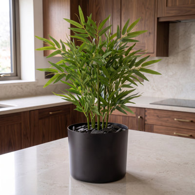 Indoor Cachepot