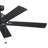 Lucian II 60'' Ceiling Fan