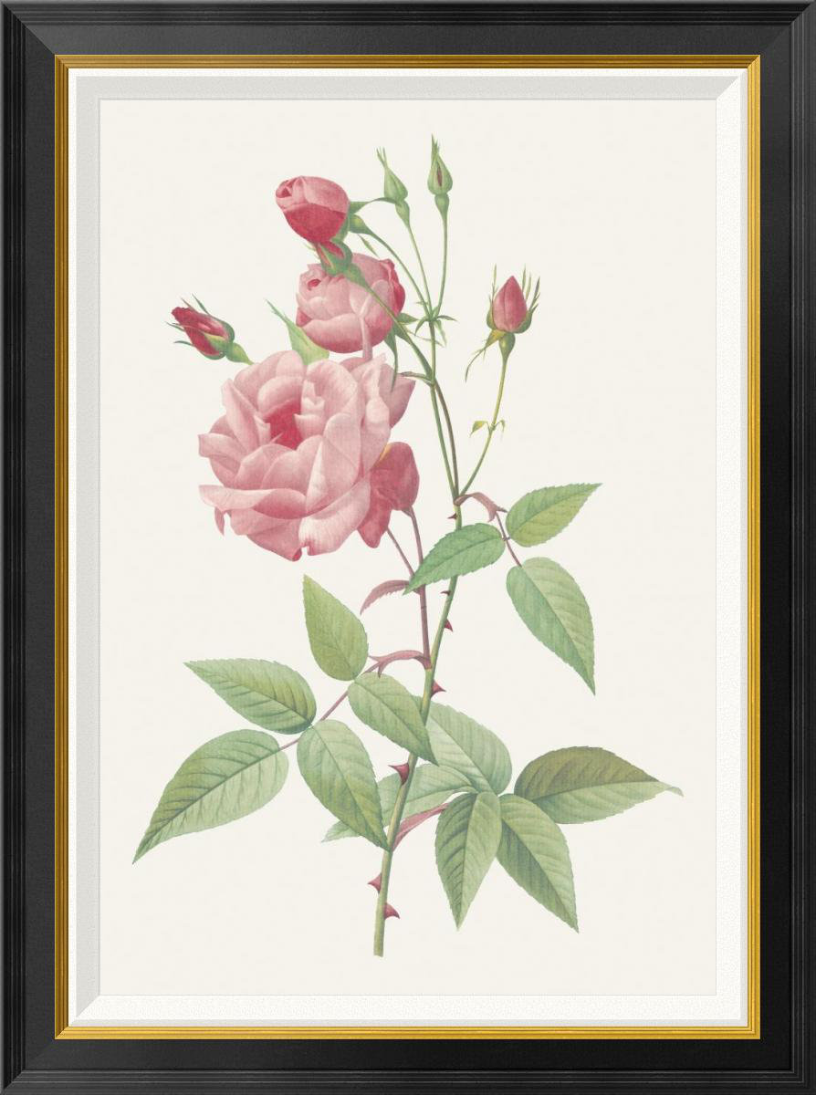 Picture Frame Print on Canvas