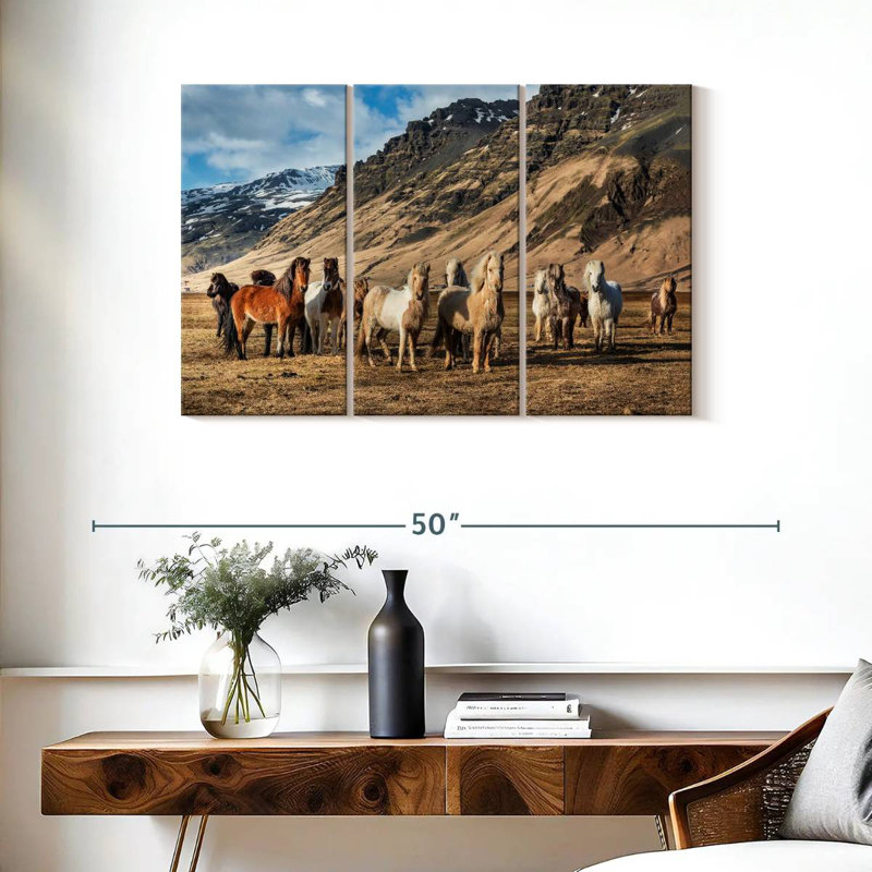 Brampt, chevaux islandais à la campagne, H 24 po x l 38 po