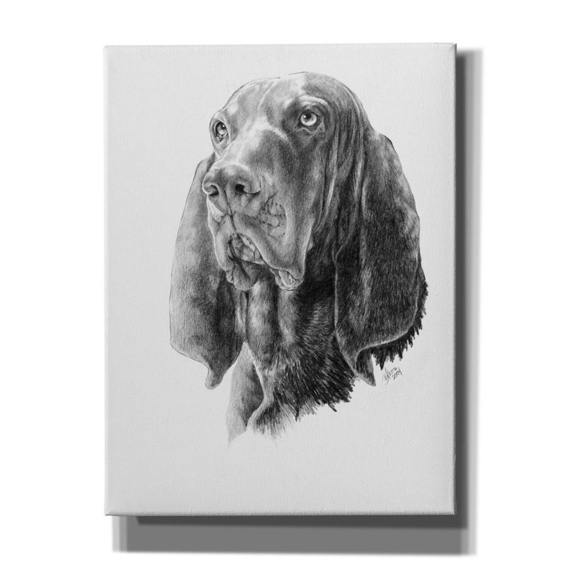 " B And T Coonhound " by Barbara Keith, 16" H x 12" W x 0.75" D