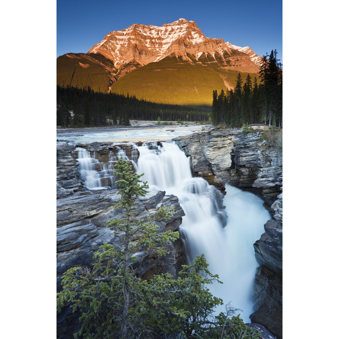 Athabasca-Wasserfälle bei Sonnenuntergang - Leinwandbild