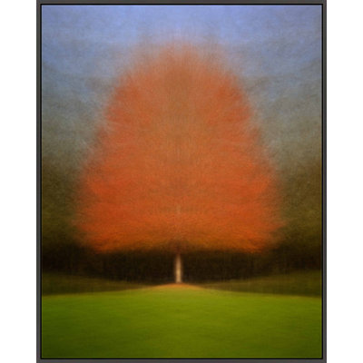 Persistence by Laura Zimmerman - Framed Wall Art