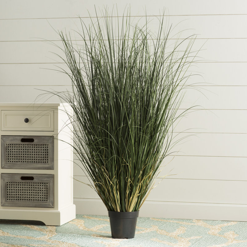 Kellan PVC Artificial Potted Green Curled Grass, 60" H x 30" W x 30" D