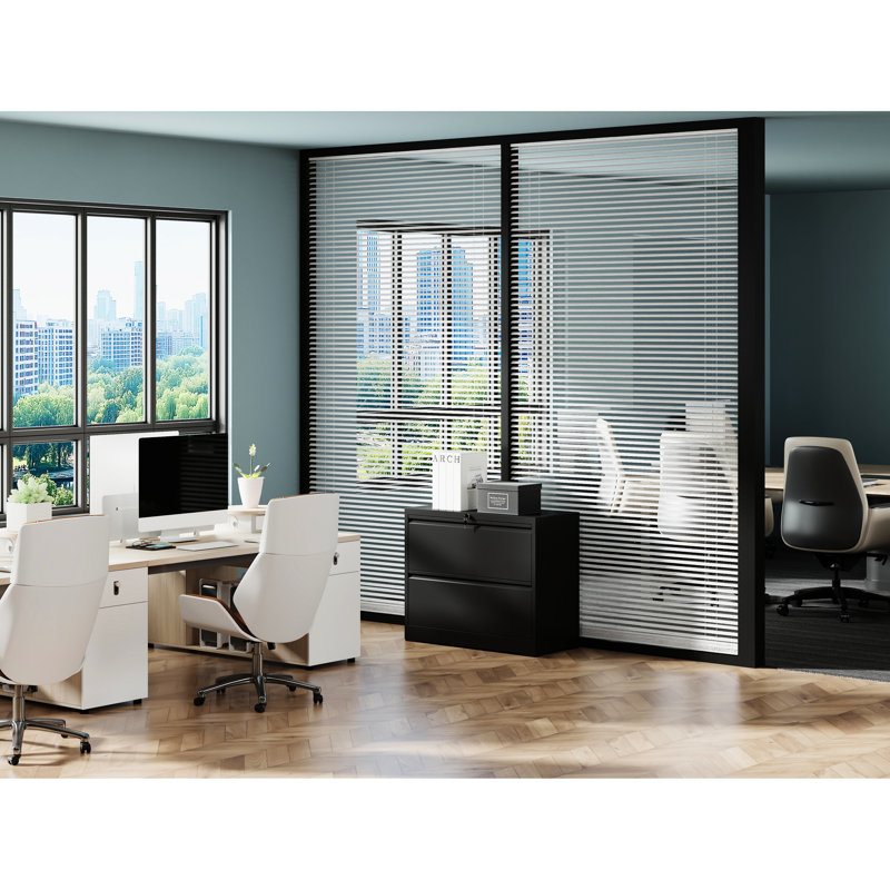 Pantelie 2 File Cabinet With Lock - Steel For Office Space, Quiet Drawer Movement, Spacious Storage Files, Features, Fast Assembly Build, Sliding Drawers, Design,