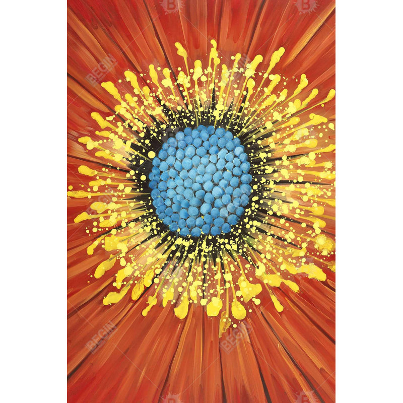 " Closeup On A Red Flower "