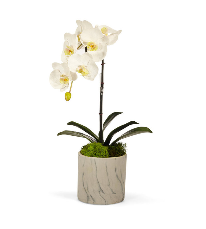 White Faux Orchid Arrangement in Marble Pot
