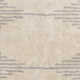 Forage Cotton Rug