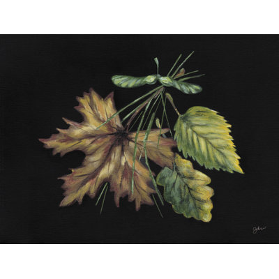 " Leaf Study " by Julie Norkus
