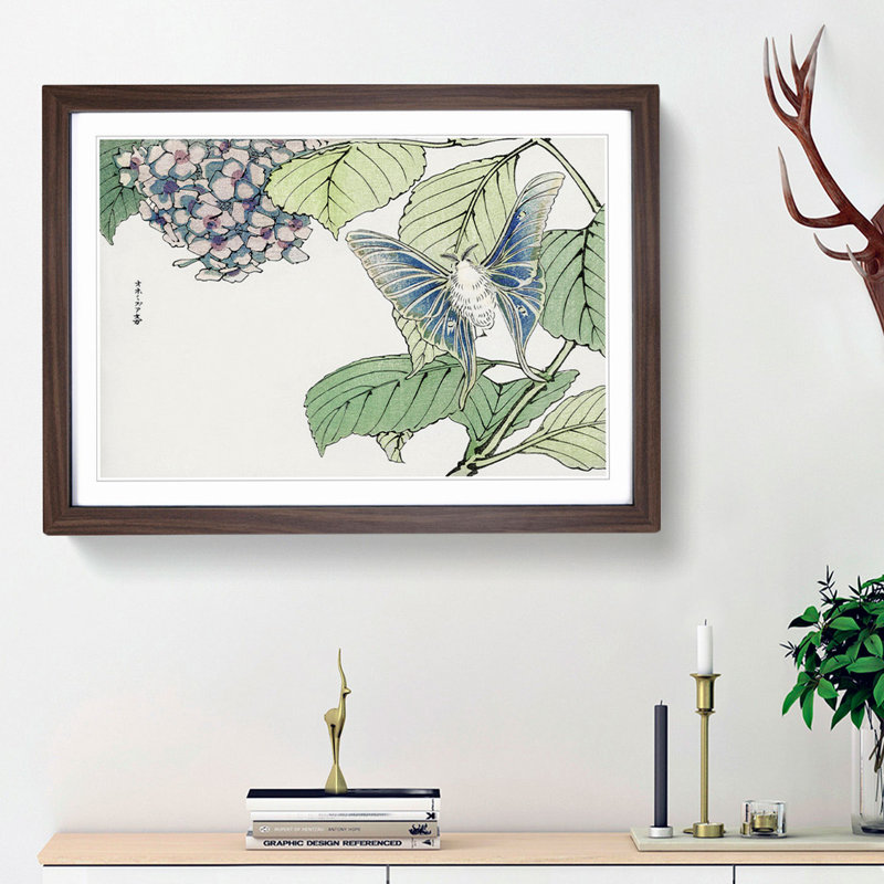 Moth & Hydrangea by Morimoto Toko - Picture Frame Painting Print, Walnut Framed, 36cm H x 48cm W x 2cm D