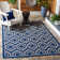 Deedrick Performance Geometric Indoor/Outdoor Area Rug