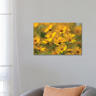 Gold Flowers 1 Piece Wrapped Canvas Wall Art