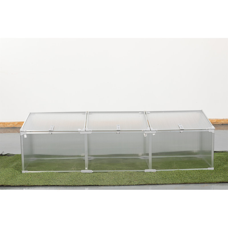 Serre en polycarbonate pour l'extérieur en hiver