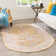 Saphira Chenille Oriental Indoor Rug