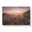 Road Through Mallorca - Wrapped Canvas-61845016