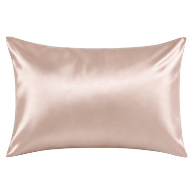 Taie d'oreiller zippée en soie de mûrier naturelle 19 mommes, housse de coussin double face en soie véritable pour les cheveux et la peau, vendue à l'unité - NTBAY
