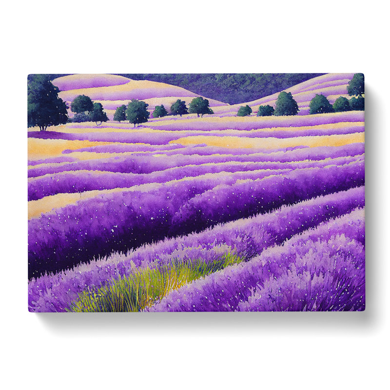 Watercolour Lavender Field Vol.5 - Wrapped Canvas, 35cm H x 50cm W x 3cm D
