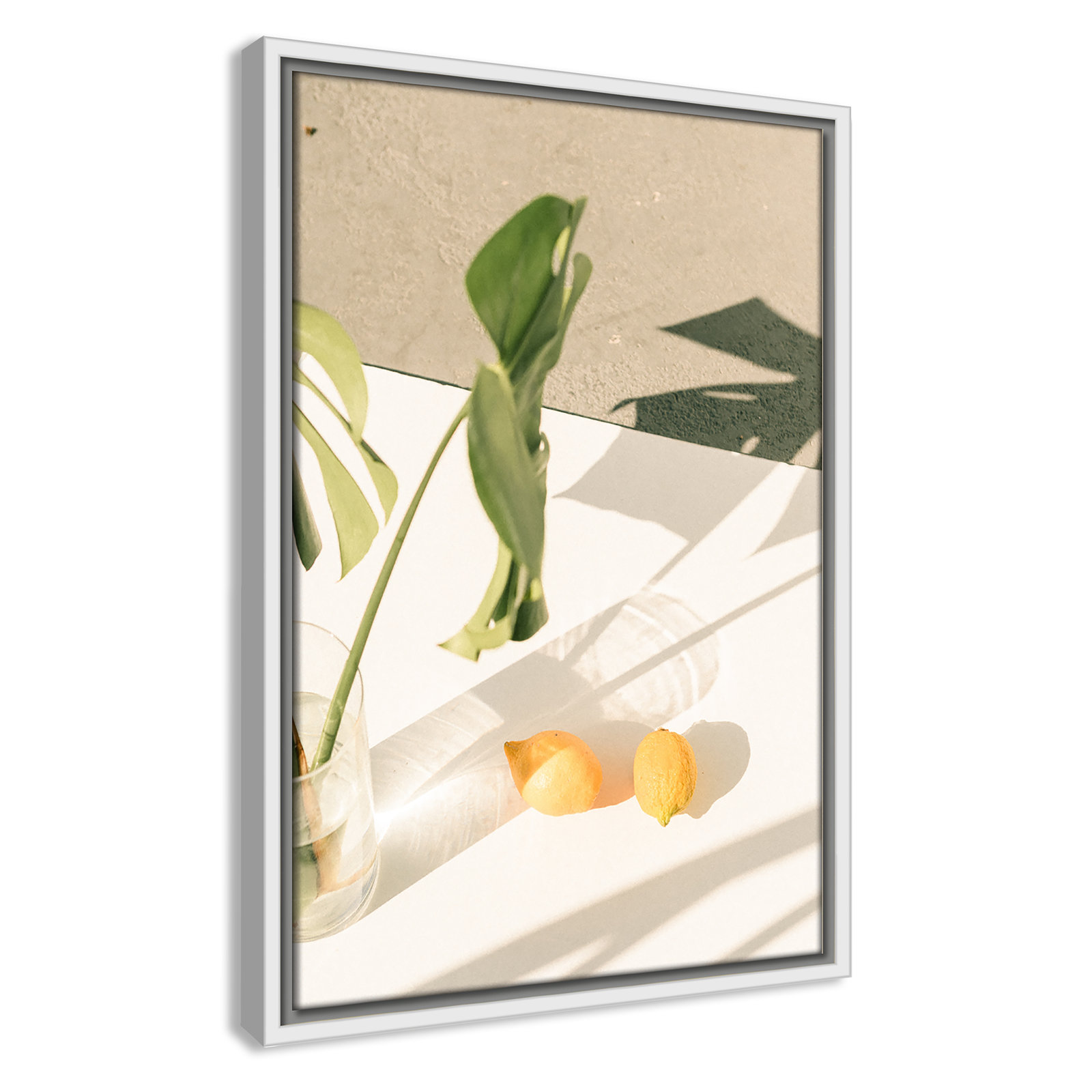 Citrus and Palms Print, 19.5'' H x 13.5'' W x 2'' D, White Framed