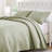 Greenland Home Fashions Vineyard Sage 3-Piece King Size Quilt Set 105x95 + 20x36 (2)-445108033-424953402