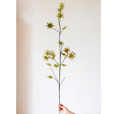 Maple Arrangement