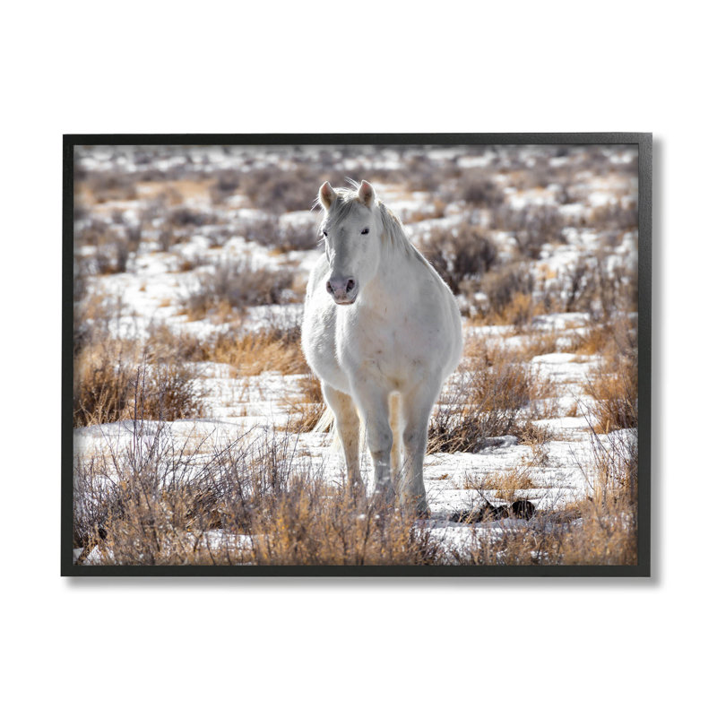 Hiver, neige, cheval, art giclé par Jeff Poe, Giclée encadrée noir minuit, H 11 po x l 14 po x P 1,5 po
