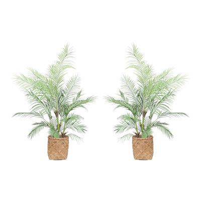 Outdoor UV Rated Kentia Palm Drop-In Trees with Bamboo-Wrapped Cement Pots