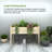 Suchi Wood Raised Garden Bed