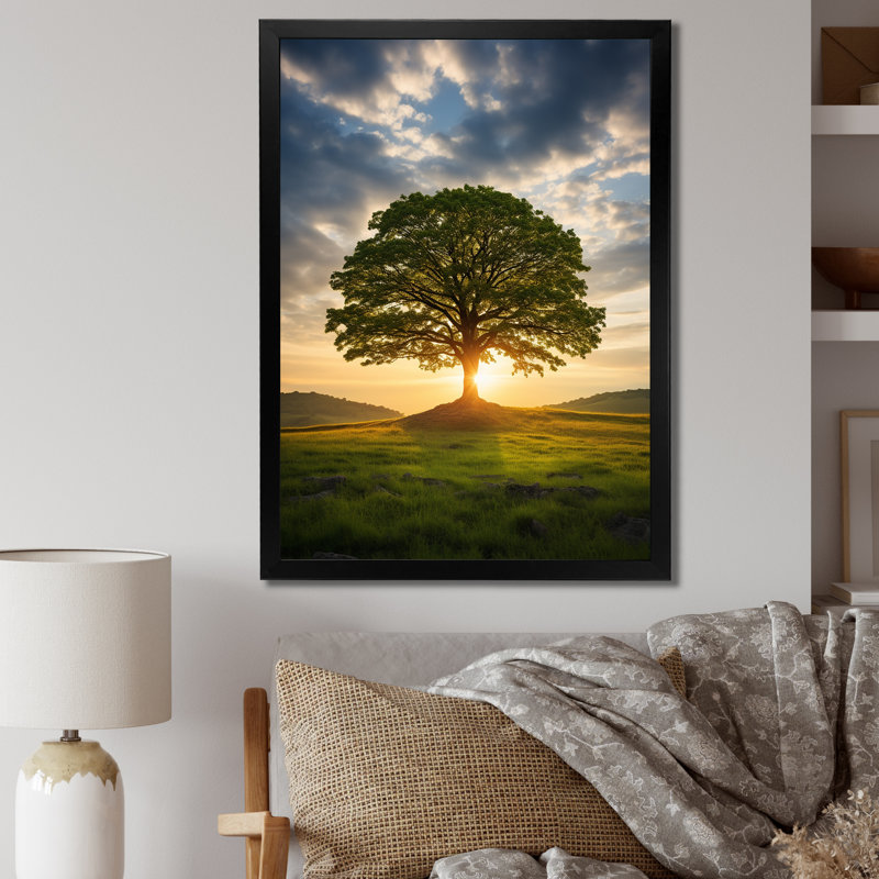 «Summer Solitude Tree Glow» sur toile, Cadre photo noir, H 20 po x l 12 po x P 1 po