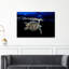 Sea Turtle Night Swim Peaceful Serene Tranquil Turtle Nature Ocean Wall Art Print 1 Piece Wrapped Canvas Wall Art-1609873837