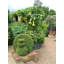 Crags Handmade Pot Planter-48478071