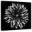 Harnek Black And White Flower-109216604