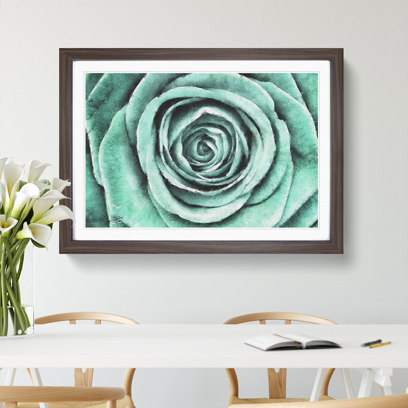 Mint Green Rose - Framed Print, Walnut Framed, 45cm H x 63cm W x 2cm D
