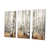 Toile tendue