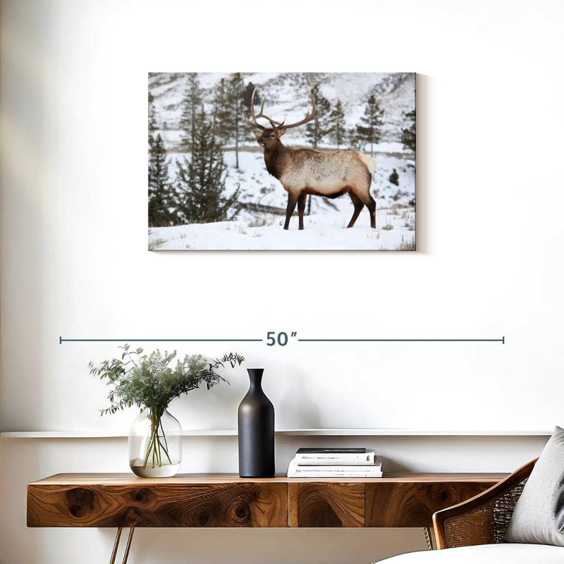 Wapiti d'hiver, H 20 po x l 30 po